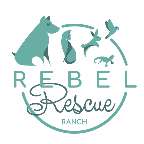 Rebel Rescue Ranch